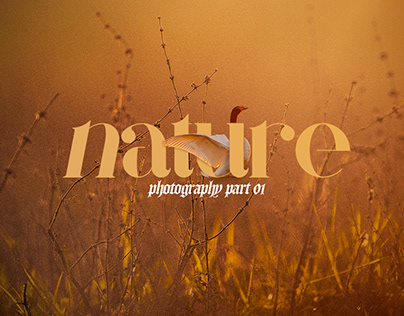 Project thumbnail - NATURE // PHOTOGRAPHY PART 01
