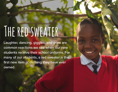 Red Sweater Project Design