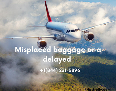 Misplaced baggage or a delayed