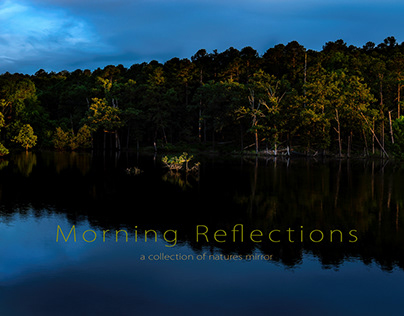 Morning Reflection