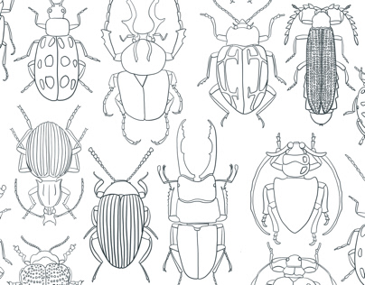 Bugs pattern