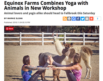 Article On Local Yoga Event For San Diego Magazine