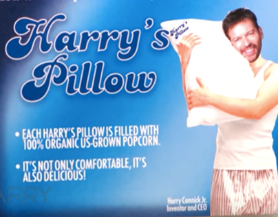 Harry's Pillow