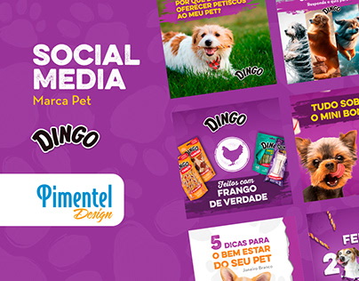 Project thumbnail - Social Media - Ramo Pet - Dingo
