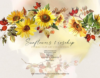 Sunflowers & rosehip