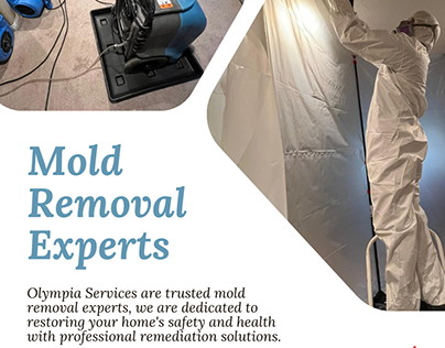 Mold Removal Experts in San Diego, CA