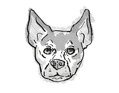 Chihuahua Dog Breed Cartoon Retro Drawing