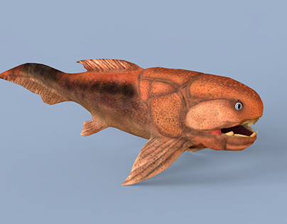 Prehistoric Underwater animals Part 3