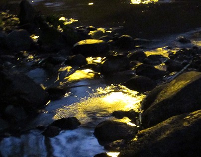 river night life