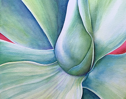 Aloe abstraction