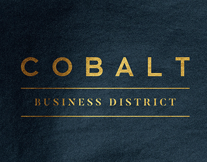 Cobalt Business District: Branding & Campaign