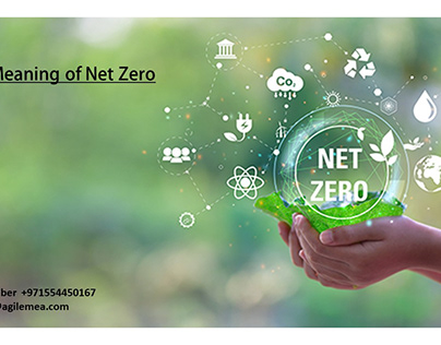 The Meaning of Net Zero
