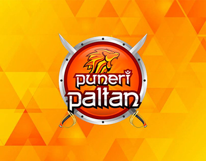 Info-graphic Slide for Puneri Paltan