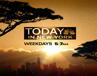Today In New York - morning news promotions