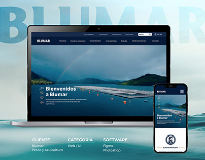 Blumar Web Design | UI