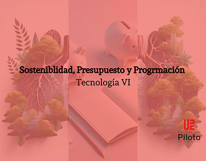 Tecnologia VI| 2024-1|Valeria Diago| Presupuesto