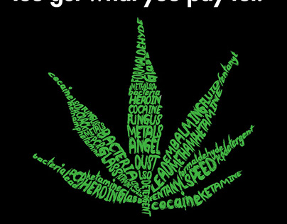 Persuasive Design: Cannabis Legalization