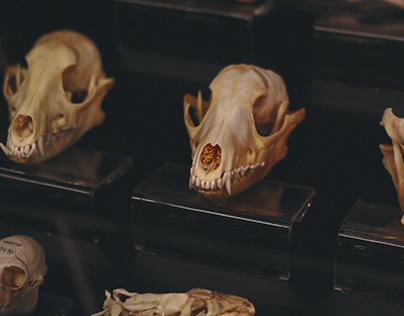UCSB Anthropology Department Looks to Help Populations