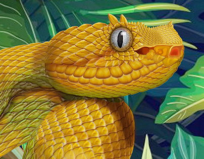 Bocaracá tropical snake of Costa Rica.