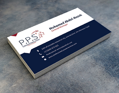 PPS (Professional Power Services)