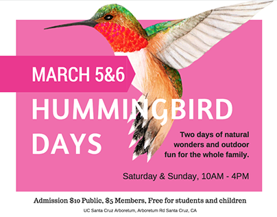 Hummingbird Days UC Santa Cruz Arboretum