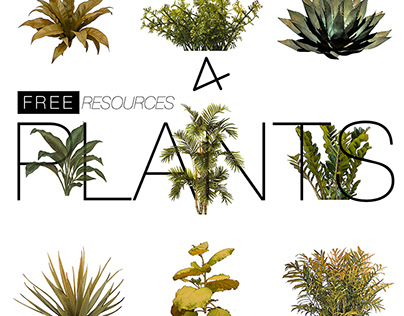 PLANT RESOURCES #01
