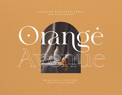 Orange Avenue | Ligature Serif Font
