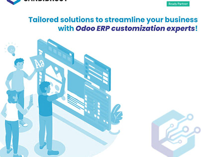 Hire Odoo ERP Customization Experts
