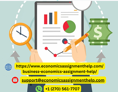 Your Source for Business Economics Assignment Guidance