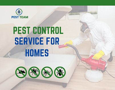Pest Control for homes