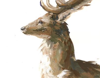 Project thumbnail - Guache Stag