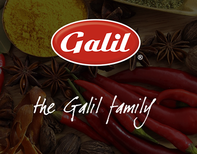 Galil Website Redesign