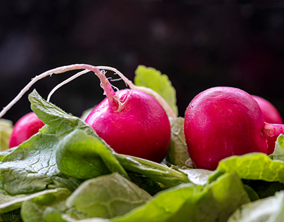 Food Glorious Food - red radishes
