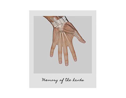 Memory of the hands