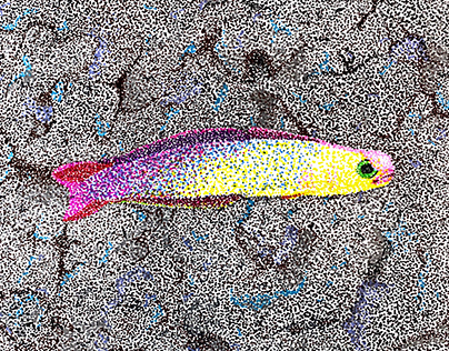 Colorful Fish - markers