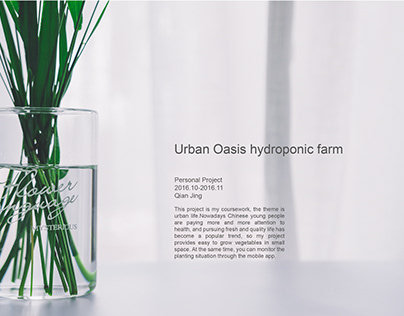 Urban Oasis hydroponic farm