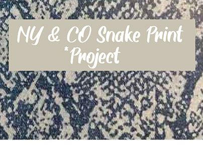 NY & Co Snake Print Project
