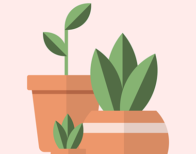 Potted Plants Illustration