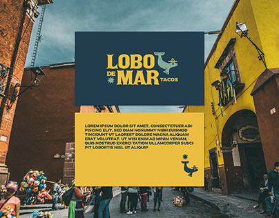 Lobo de Mar - branding