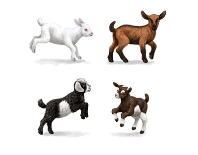 Illustration of goats on cards