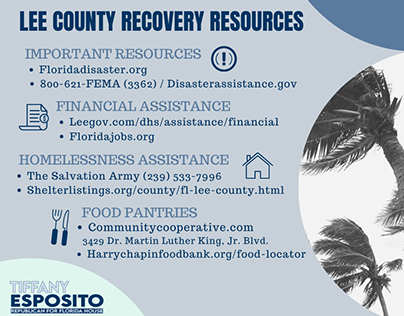 Disaster Resources Infographic for Hurricane Ian