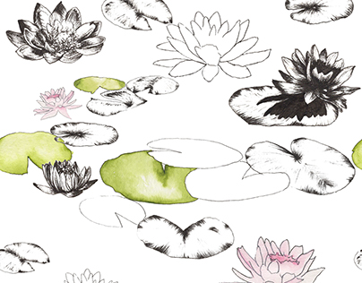 Lily Pads and Lotus Flowers