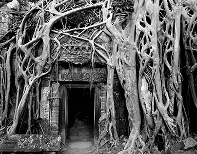 Angkor Wat, Bayon Temple and Ta Prohm - Cambodia