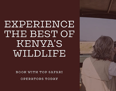 Safari Operators in Kenya: Making Wildlife Memories