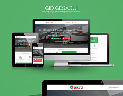 GID Gesagui - landing-page, presenting business benefit