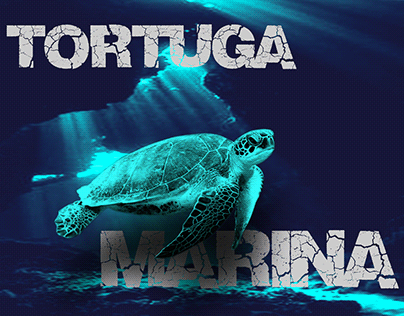 Tortuga Marina