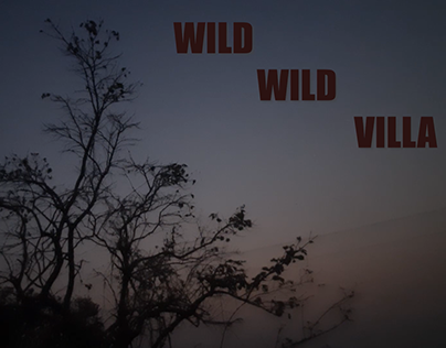 Wild Wild Villa - A short documentary (college project)