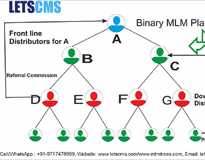Binary MLM Plan | Binary MLM Software | Direct Selling