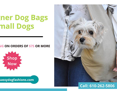 Designer Dog Bags for Small Dogs