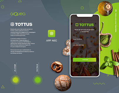 TOTTUS NSG / dashboard and app design